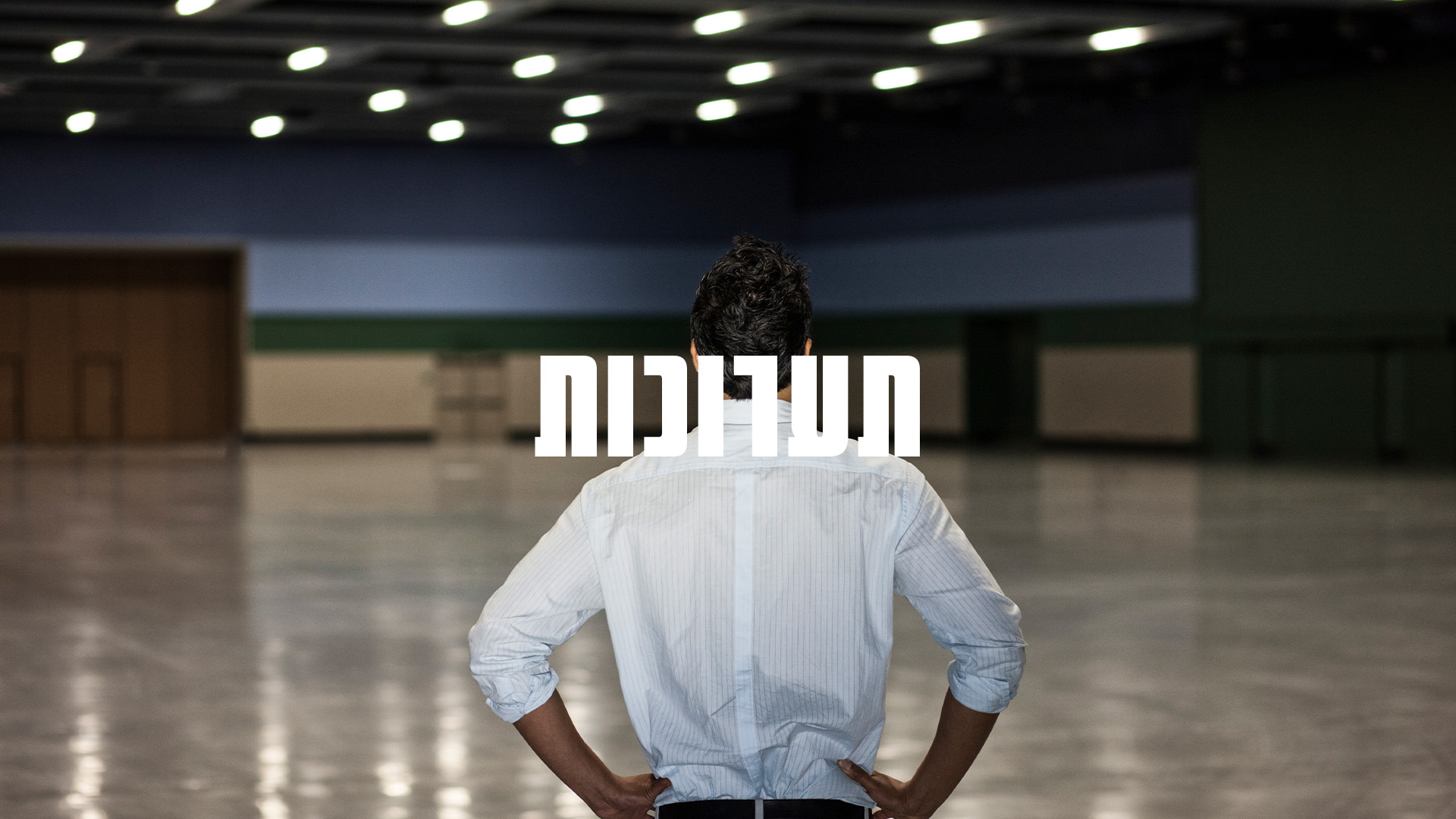 תערוכות